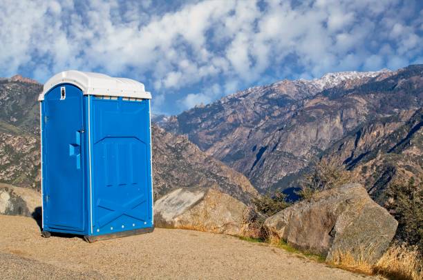 Best Portable bathroom rental  in Lake Odessa, MI